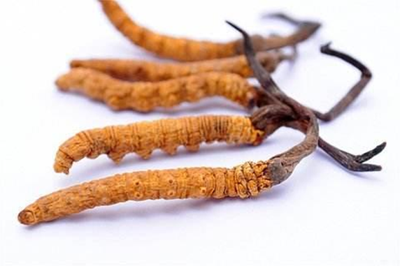 QQ图片20180514224513.png QQ图片20180514224513.png