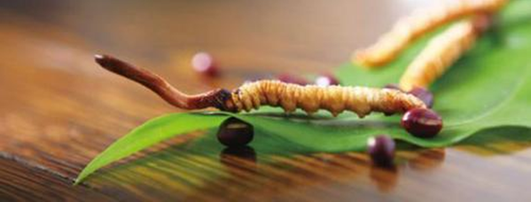 QQ图片20180514224644.png QQ图片20180514224644.png