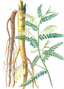 QQ图片20180514163947.png QQ图片20180514163947.png