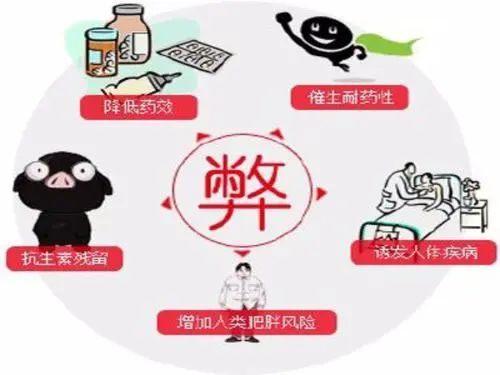 图片7.png 图片7.png