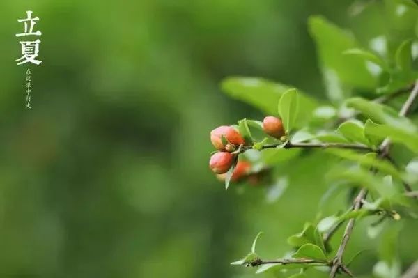 微信图片_20180531100830.jpg 微信图片_20180531100830.jpg