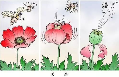 微信图片_20180626152913.jpg 微信图片_20180626152913.jpg