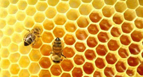 QQ图片20180514141910.png QQ图片20180514141910.png