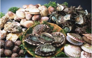 QQ图片20180514161704.png QQ图片20180514161704.png