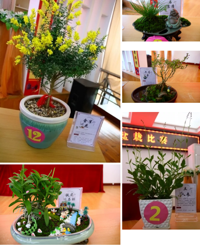 QQ图片20190520105341.png