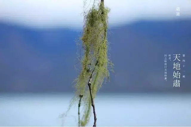 640 (1).webp (1).jpg