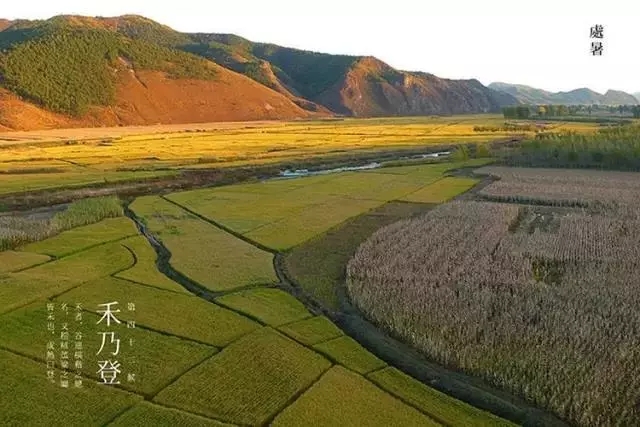 640 (1).webp (2).jpg