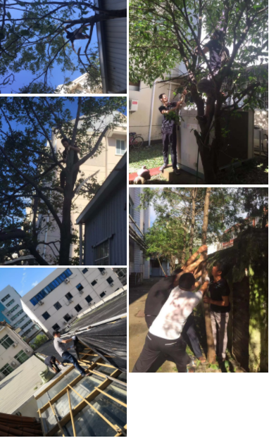 QQ图片20190821153512.png