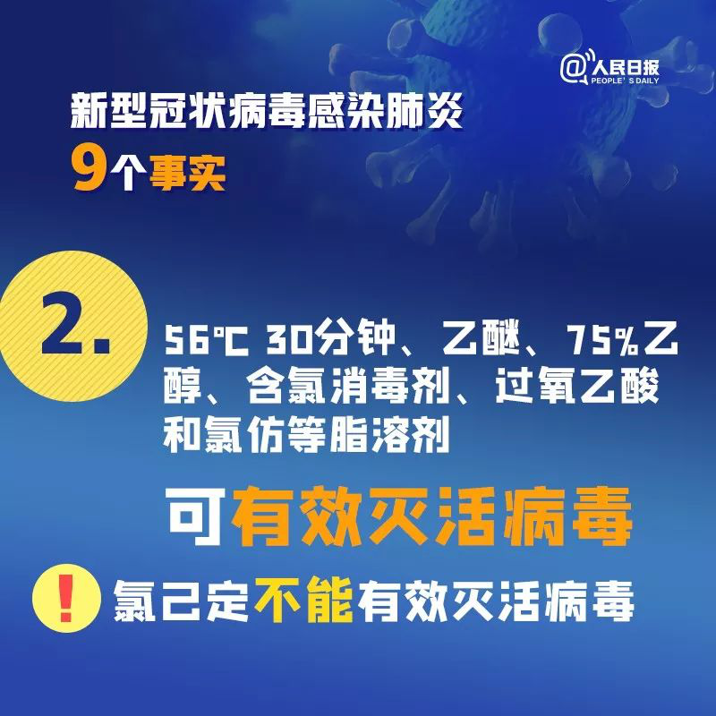 图片23.png